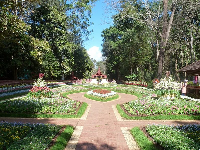 A Must-visit Site in Pyin Oo Lwin: The National Kandawgyi Botanical Gardens